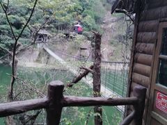 -九鲤湖风景区
