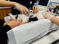 -纳吉亚猫专科动物诊疗中心(蒋宅口分院)