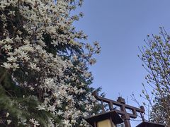 -木塔寺遗址生态公园