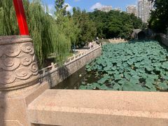 -水绘园