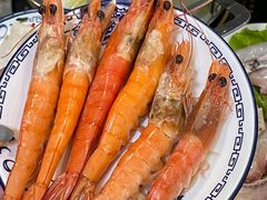 -金砂阿洲鱼册店