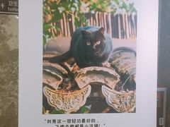 -卢米埃影城(合生广场IMAX店)