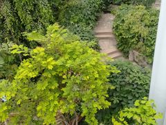 -郑州植物园