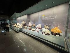 -湖南省地质博物馆