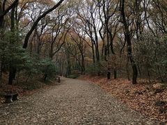 -灵谷景区