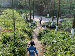 -重庆彩云湖湿地公园