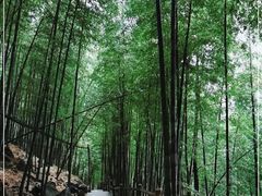 -藏龙百瀑风景区