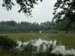 -翠湖国家城市湿地公园