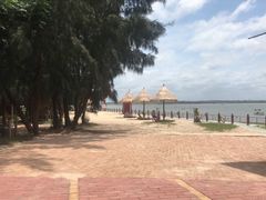 -北海金海湾红树林生态旅游区