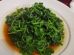 -宋园·金宴浙鲜馆(静安店)