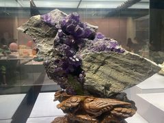 -湖南省地质博物馆