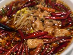 -宝轩渔府·老字号海鲜·正宗津菜(水上店)