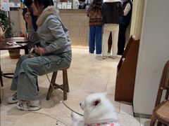 -风吟仟茶(河街店)