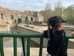 -哈尔滨北方森林动物园