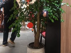 -蜀九香火锅(彩虹店)