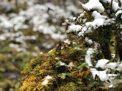 -硗碛藏寨·神木垒景区