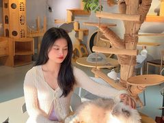 -豆逗聊愈猫阁Easy Life