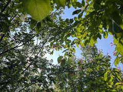 -马家湾湿地公园