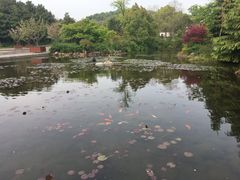 -白马涧龙池景区