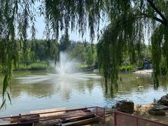 -北京野生动物园