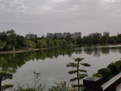 -渭滨公园