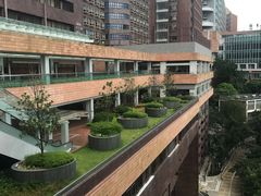 -香港大学