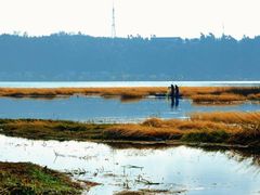 -洱海月湿地公园