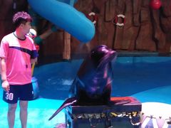 -烟台海昌鲸鲨海洋公园