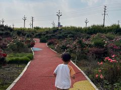 -中国天府农业博览园