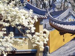-灵谷景区