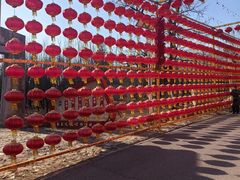 -北京凤凰岭