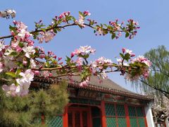 -元大都城垣遗址公园