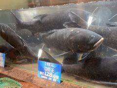 -上名堂·鱼头好吃(体育场路店)