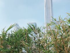 -深圳星河丽思卡尔顿酒店