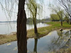 -渤公岛生态公园