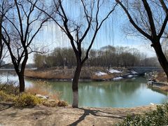 -大兴滨河森林公园