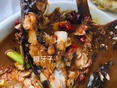 -庆岭迎宾园正宗活鱼馆