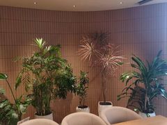 -Bco豆库(苏州中心店)