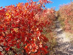 -北京十三陵国家森林公园蟒山景区