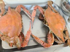-渔民船说·北塘海鲜·天津菜·海肠捞饭(北塘古镇店)