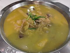 -一代菌王·竹荪鹅(江苏旗舰店)