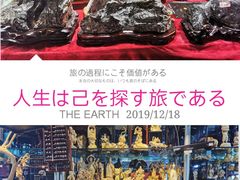 -万商花鸟市场