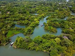 -西溪国家湿地公园