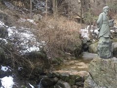 -王顺山国家森林公园