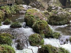 -龙苍沟森林公园
