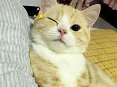 -天下玉苑