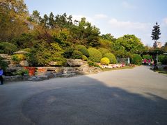-上海植物园-4号门售票处