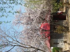 android_upload_pic-神农庄园
