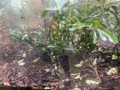 -上海昆虫博物馆