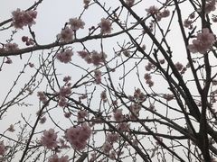 -古柏渡飞黄旅游区